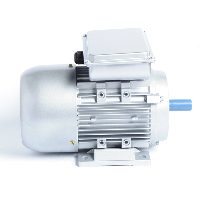 Customize low prices  2hp 3hp 4hp 5hp 6hp ac electric asynchronous motor