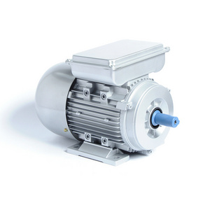 Customize low prices  2hp 3hp 4hp 5hp 6hp ac electric asynchronous motor