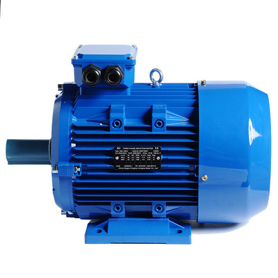 Ac Induction Electric Motor 7.5kw 11kw 15kw 18.5kw 22kw 30kw 45kw 55kw 75kw 160kw 200kw 3000w 220v 380v