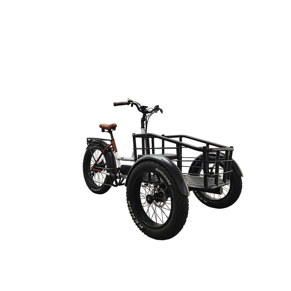 Cheap factory price Wholesale 3 three  wheel cargo enclosed electric bike tricycle turkey