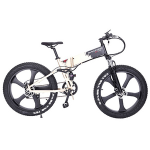 Mountain E Bike Snow 200 KG Load Hidden Battery High Power Beach Wheel Tyre Cruiser Folding Fat Tire Electric Bicycle