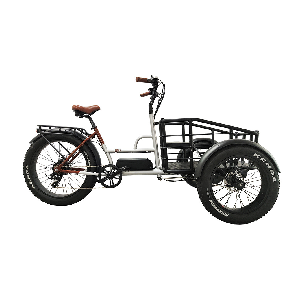 Cheap factory price Wholesale 3 three  wheel cargo enclosed electric bike tricycle turkey