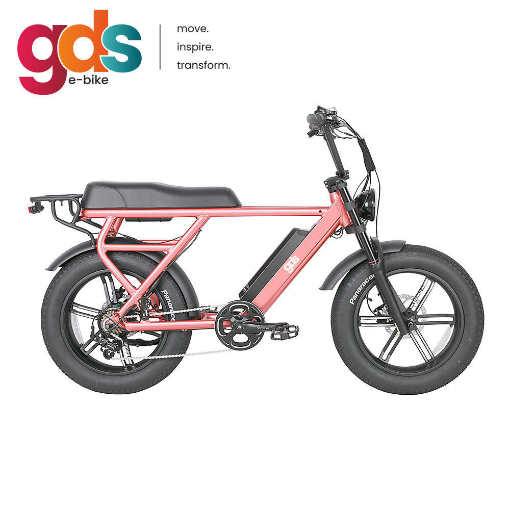 GDS Ebike M050 vintage super e-bike e bike 73 bici velo electrique-homm ...