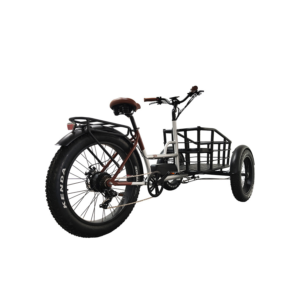 Cheap factory price Wholesale 3 three  wheel cargo enclosed electric bike tricycle turkey