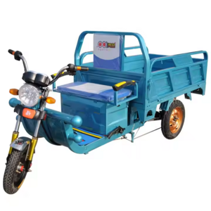 1000W 60V 50km/h Electric Cargo Bike Heavy Carry Load 3-Wheel Tricycle Fast Speed Open Body Motorized Farm Use Tricycle