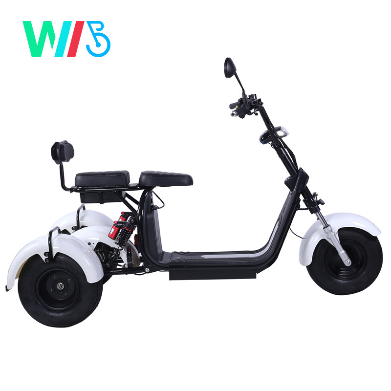 1000W / 1500W / 2000W Three Wheels Big Tire Trike Atv Adult Tricycle Citycoco 3 Wheel Electric Scooter