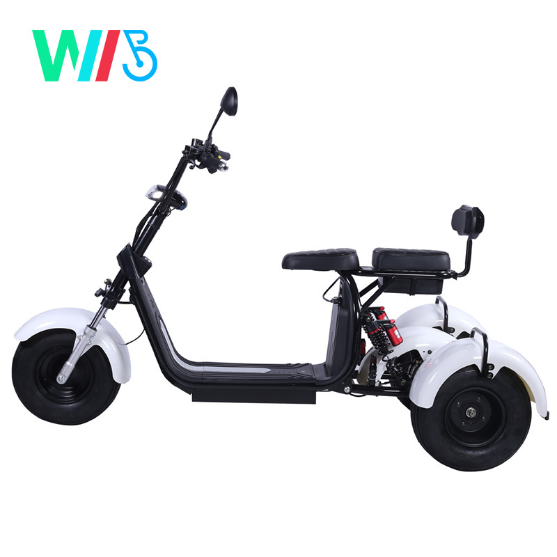 1000W / 1500W / 2000W Three Wheels Big Tire Trike Atv Adult Tricycle Citycoco 3 Wheel Electric Scooter