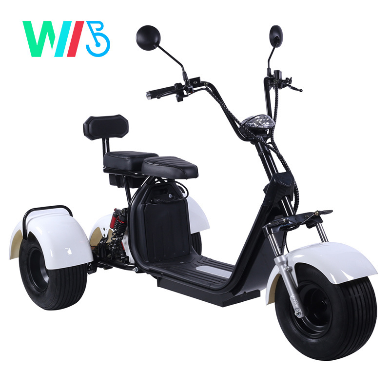 1000W / 1500W / 2000W Three Wheels Big Tire Trike Atv Adult Tricycle Citycoco 3 Wheel Electric Scooter