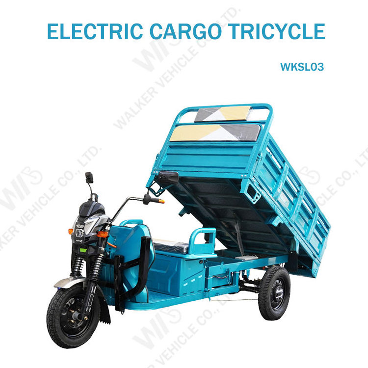 Chinese 1500w Electric Tricycle with Big Wheel EEC 3-Wheel Truck Cargo Trike for Adults 60v Motorized Open Body 1000w Power