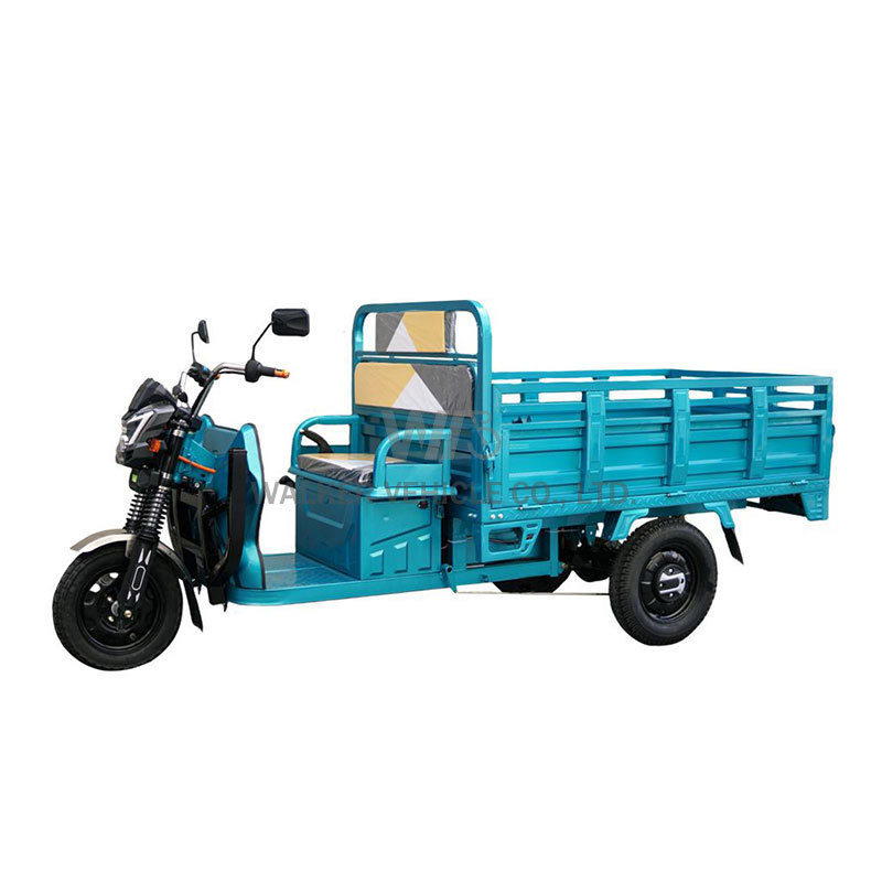 Chinese 1500w Electric Tricycle with Big Wheel EEC 3-Wheel Truck Cargo Trike for Adults 60v Motorized Open Body 1000w Power