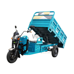 Chinese 1500w Electric Tricycle with Big Wheel EEC 3-Wheel Truck Cargo Trike for Adults 60v Motorized Open Body 1000w Power