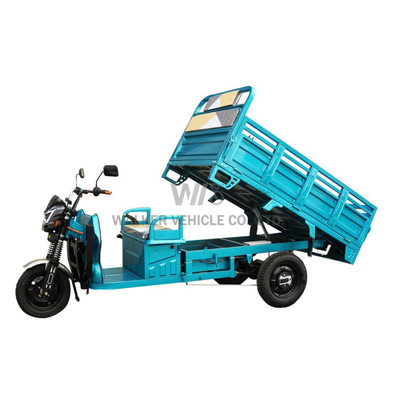 Chinese 1500w Electric Tricycle with Big Wheel EEC 3-Wheel Truck Cargo Trike for Adults 60v Motorized Open Body 1000w Power