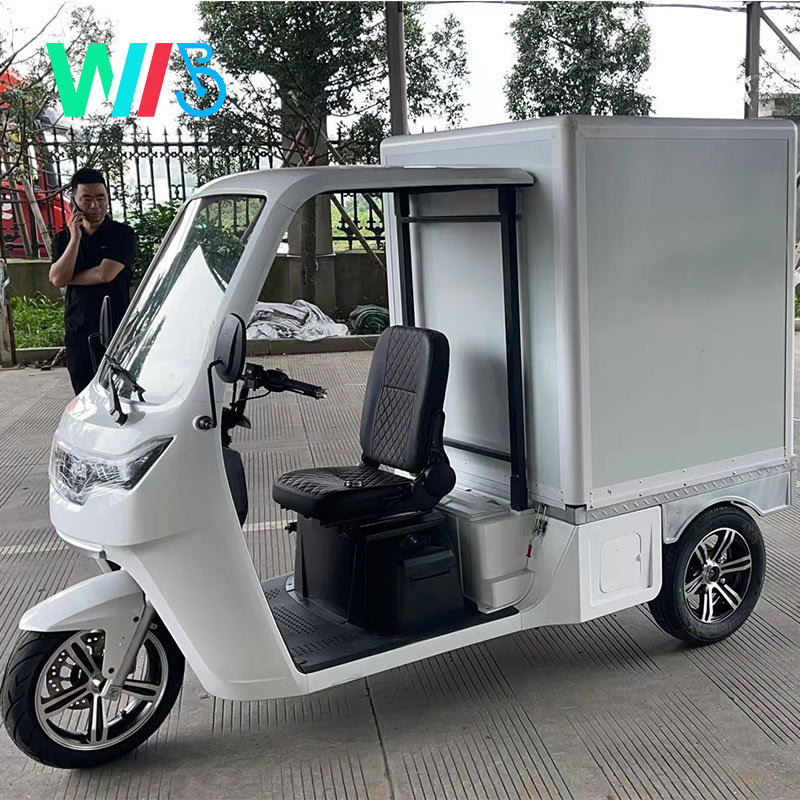 EEC Electric Car Approval Tuk Tuk Electric Cargo Car 38km/H 1seater Express Delivery Mail Truck / Mail Car / Electric Van