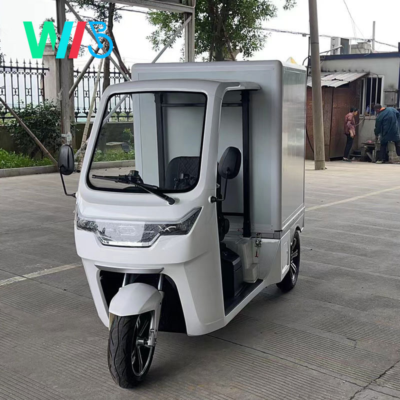 EEC Electric Car Approval Tuk Tuk Electric Cargo Car 38km/H 1seater Express Delivery Mail Truck / Mail Car / Electric Van