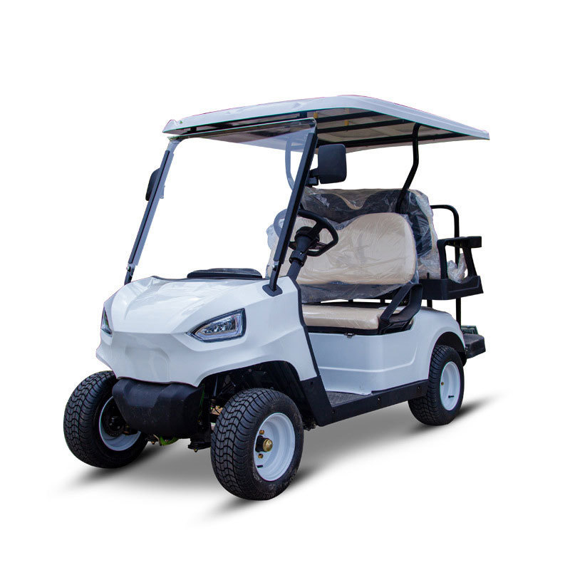 Walker Electric 2 4 6 8 10 Seater Personal Golf Cart Lifted Off-Road Hunting Car Electric Mini Car Sightseeing Bus Utility Cart