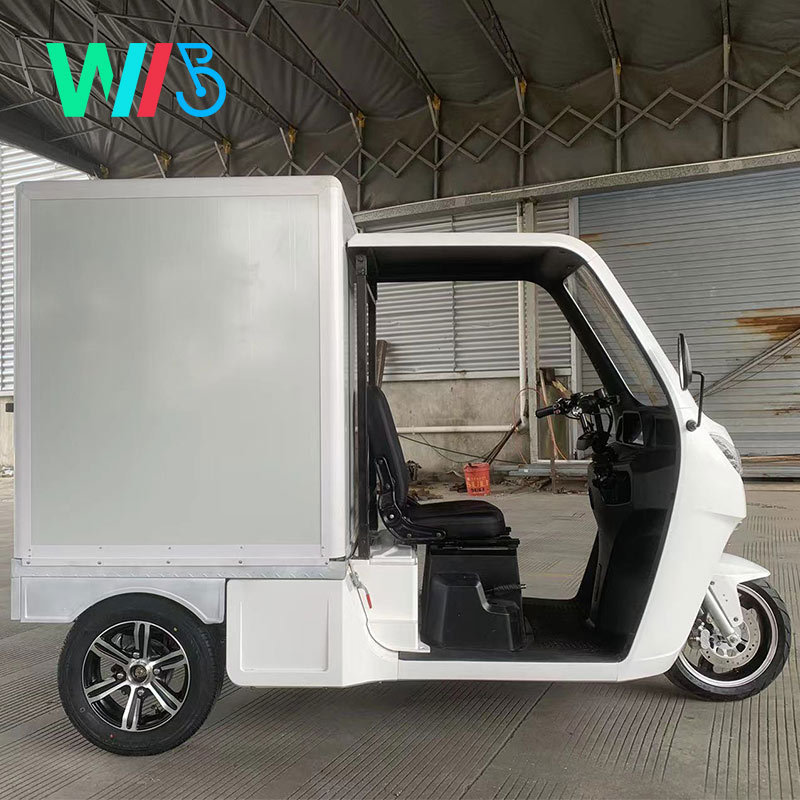 EEC Electric Car Approval Tuk Tuk Electric Cargo Car 38km/H 1seater Express Delivery Mail Truck / Mail Car / Electric Van