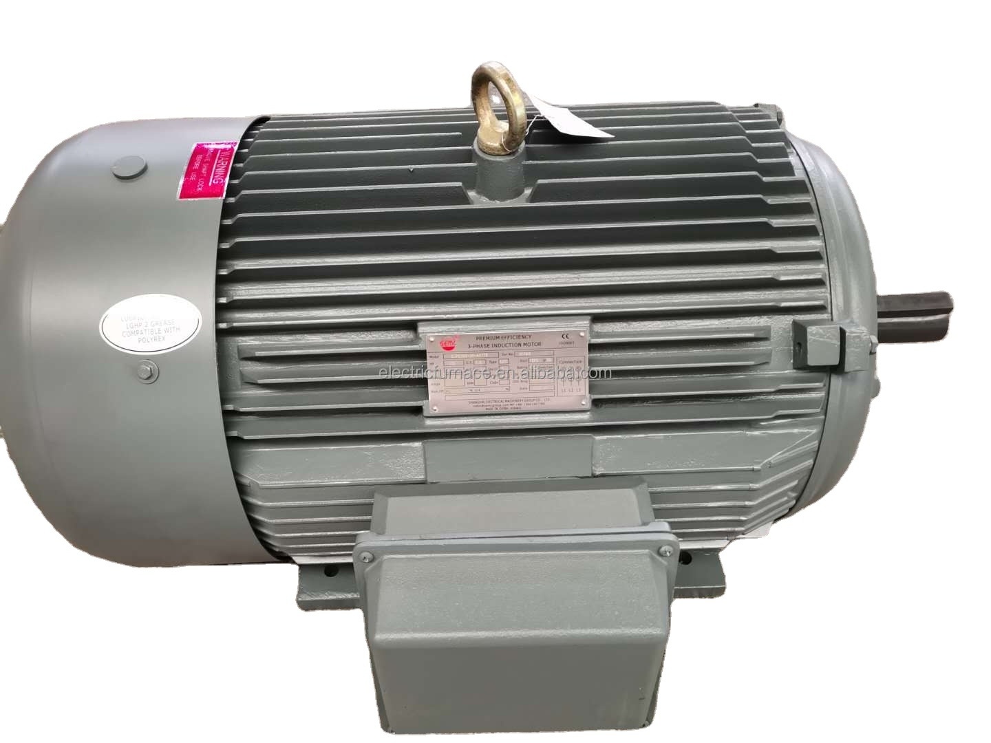 SEMC THREE PHASE INDUCTION MOTOR