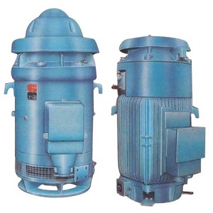 vertical shaft turbine pump motor 100 HP