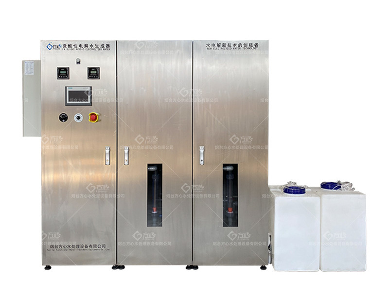 Natural Hcio Hypochlorous Acidic Water Electrolyzed Generator Machine With Fast Delivery