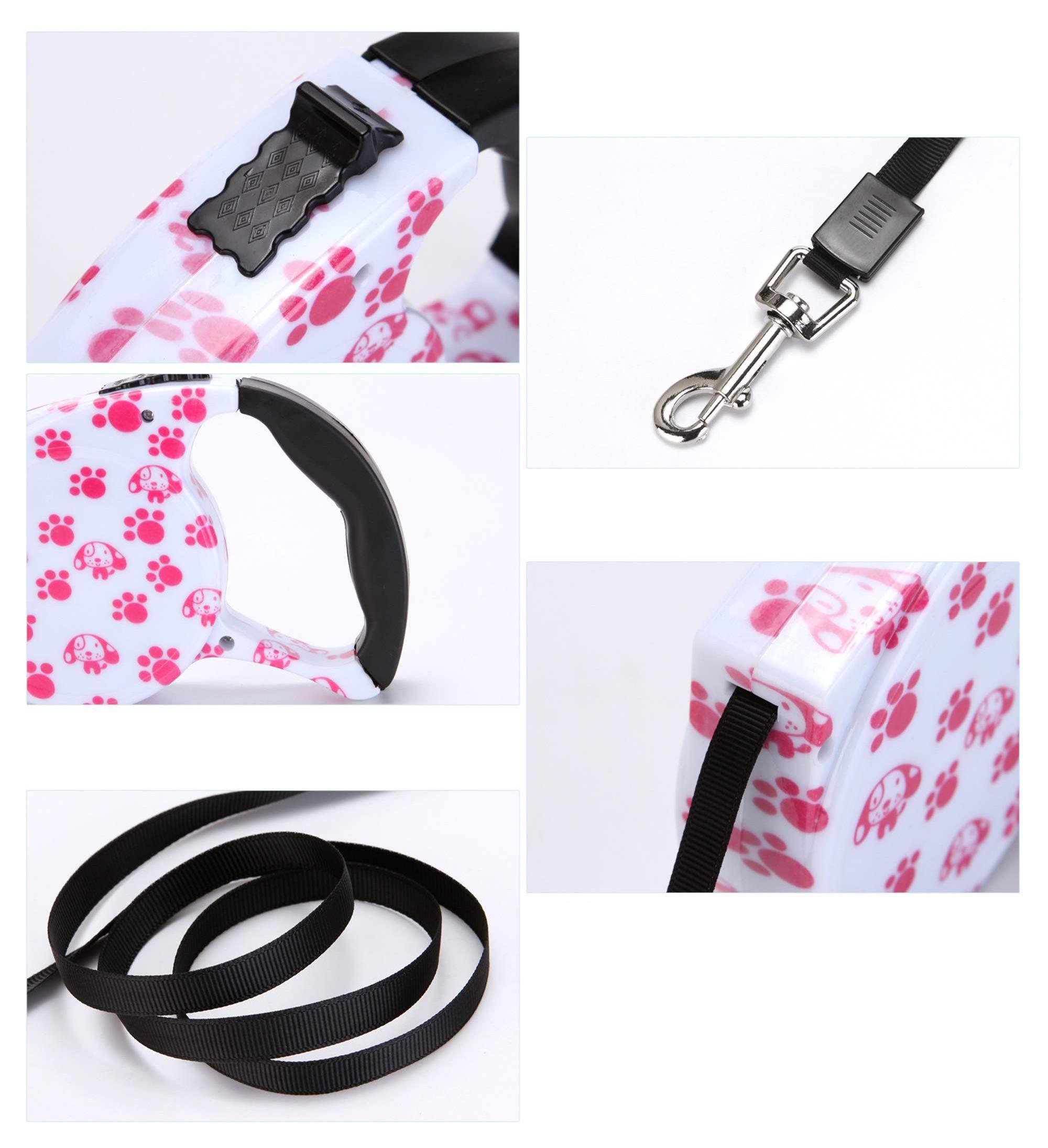 Wholesale Pet Walking Training Cat Belt Automatic Nylon Extension Retractable Dog Leash Cat Leash for Small Dog Pet Supplies