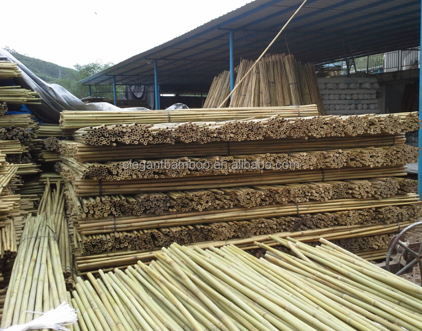 bamboo stake poles for orchard plant tree supporting