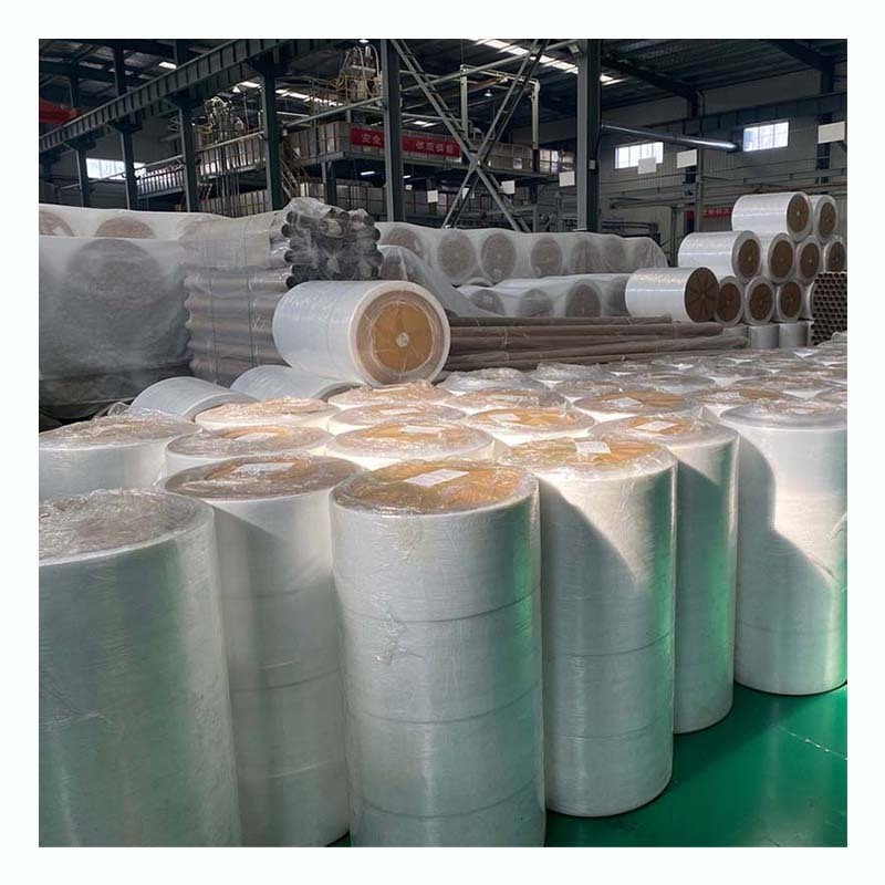 Make-to-Order Type China Manufacturer Non Woven Fabric, TNT/Ppsb/PP Spunbond Nonwoven/Non Woven Fabric Roll with Any Color