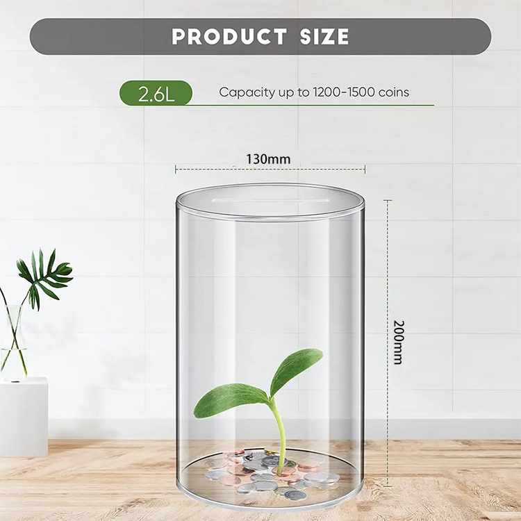 Unopenable Acrylic Clear Saving Money Piggy Bank for Boys Girls Kids Adult Gift, Jar for Coin Cash Bills