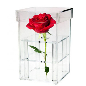 Clear Acrylic Eternal Flower Gift Box, Decorative Floral Pots Stand, Modern Square Single Flower Vase Water Holder