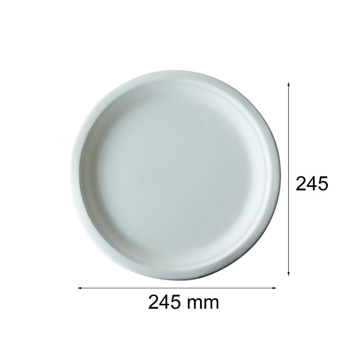 Factory Price 10 Inches Round Paper Plate Custom Dinner Plate With Bio Disposable Plate