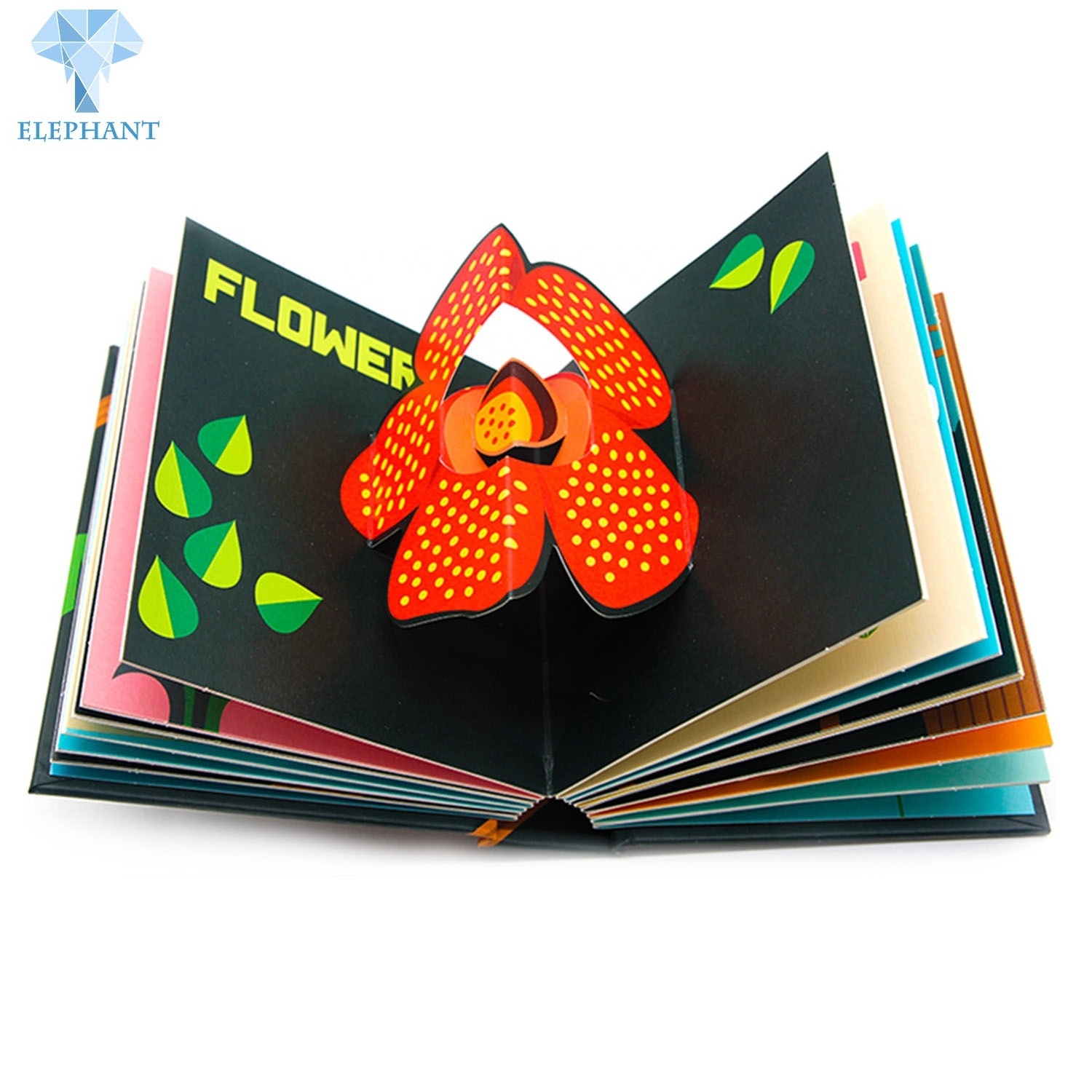 China Custom Hardcover Book Printing Children Interesting Leaning 3D Board Book Printing Services