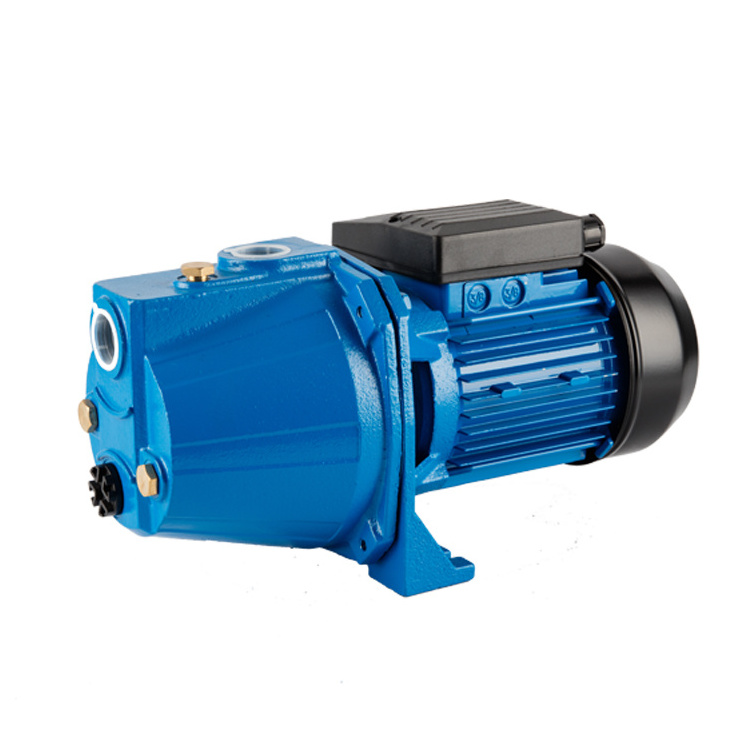 1 hp hot sale jet type 54L/min water pump cheap custom propulsion electric domestic self-priming multistage pumps