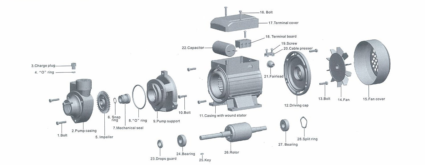 peripheral electric qb60 0.5hp qb70 0.75hp qb80 1hp Iron Cast Brass Impeller Vortex Micro Auto Garden Agriculture water pump