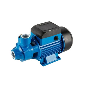 QB60/70/80 220v mini domestic electric motor custom pressure hand Manual Pressure Pumps agriculture water pump