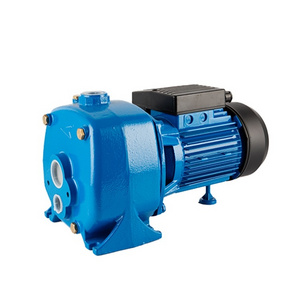 self-priming jet cheap sale custom factory price Electric propulsion Water Pump deep well pumps