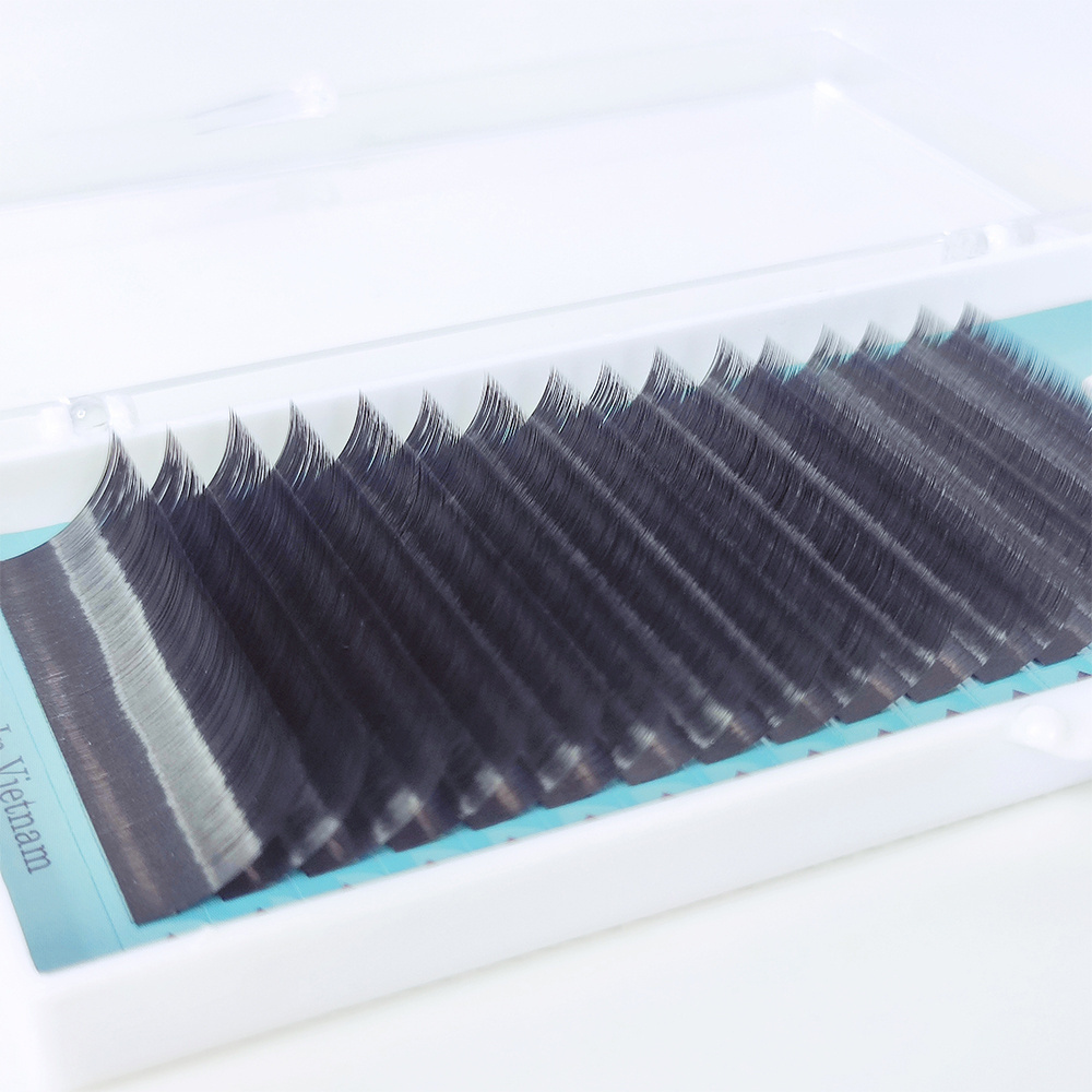 Made In Vietnam - Private Label Eyelashes Lashes Tray Volume Eyelash Extension Extensions Professional Black Custom