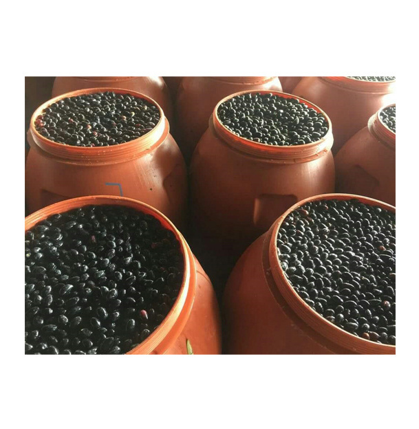 Wholesale Supplier of Top Quality Best Selling Seasonings & Condiments Pickles Black Olive Whole from Egypt