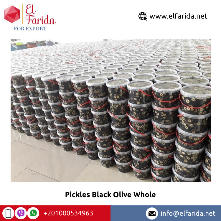 Wholesale Supplier of Top Quality Best Selling Seasonings & Condiments Pickles Black Olive Whole from Egypt