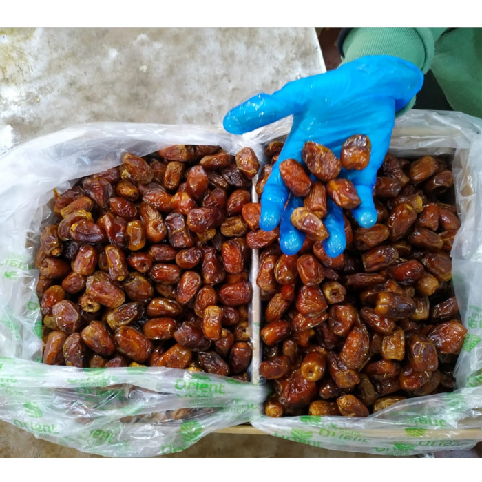 Best Selling Factory Price Drop Shipping Wholesale High Quality 100% Natural Pure Taste Sweet Semi Dry Dates For Export