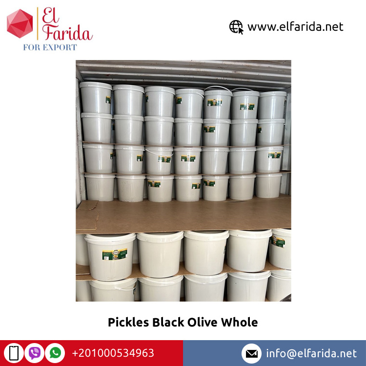 Wholesale Supplier of Top Quality Best Selling Seasonings & Condiments Pickles Black Olive Whole from Egypt