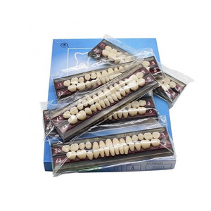 Artificial Composite Denture Teeth Full Set Dental Acrylic Teeth