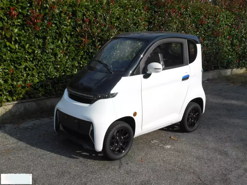 ELION X2 European certificate four wheel electric car for disabled people in wheelchair