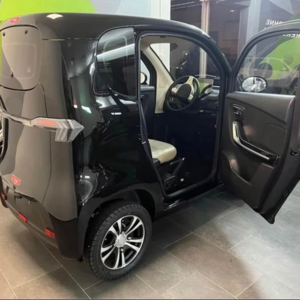 ELION X2c Hot selling new fully enclosed electric four-wheeled scooter