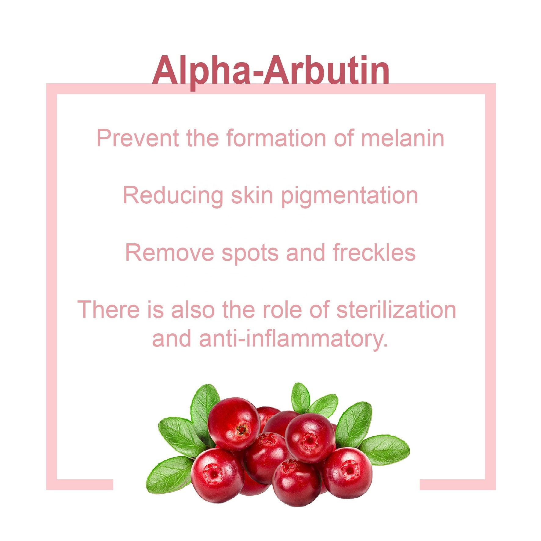 Dark Skin lightening 2% Alpha Arbutin 3% Tranexamic Acid Potent Skin Whitening Serum