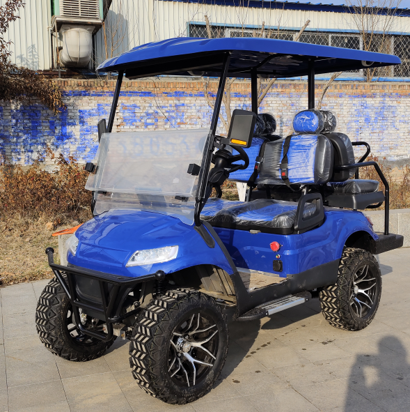 Shining electric lithium garden utility vehicles New Designed golf buggy for sale