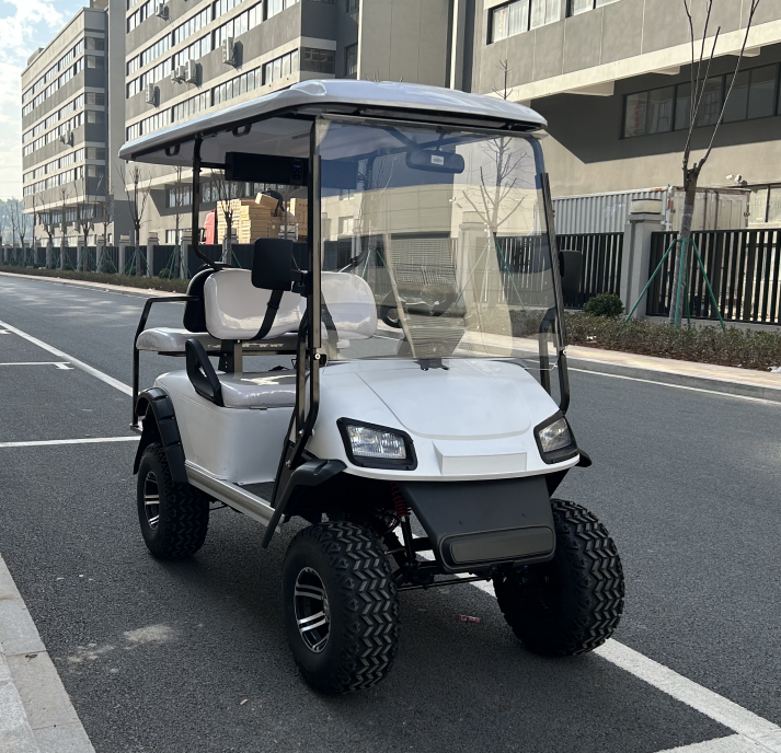 Shining brand electric garden utility vehicles New Designed lifted golf buggy golf carts for sale