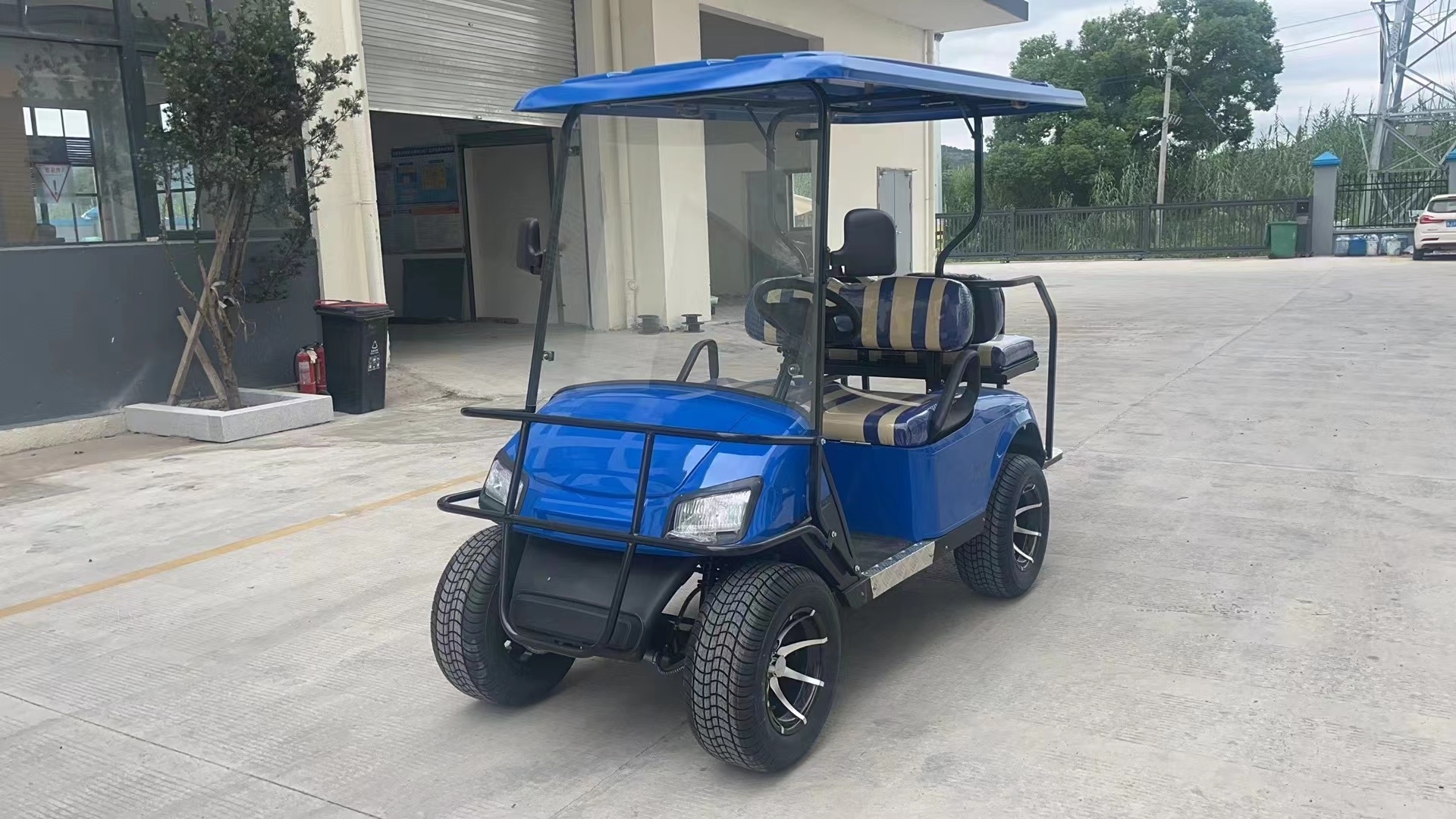 mini electric cars for adult gas golf cart