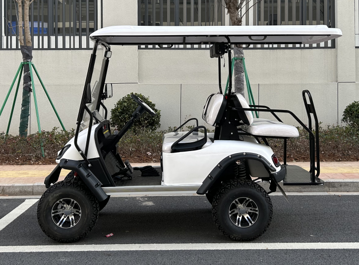 Shining brand electric garden utility vehicles New Designed lifted golf buggy golf carts for sale