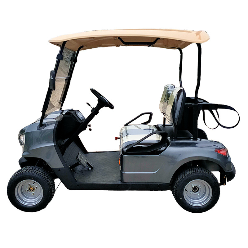 300cc Sightseeing Golf Cart 2 passengers Gasoline Golf Carts