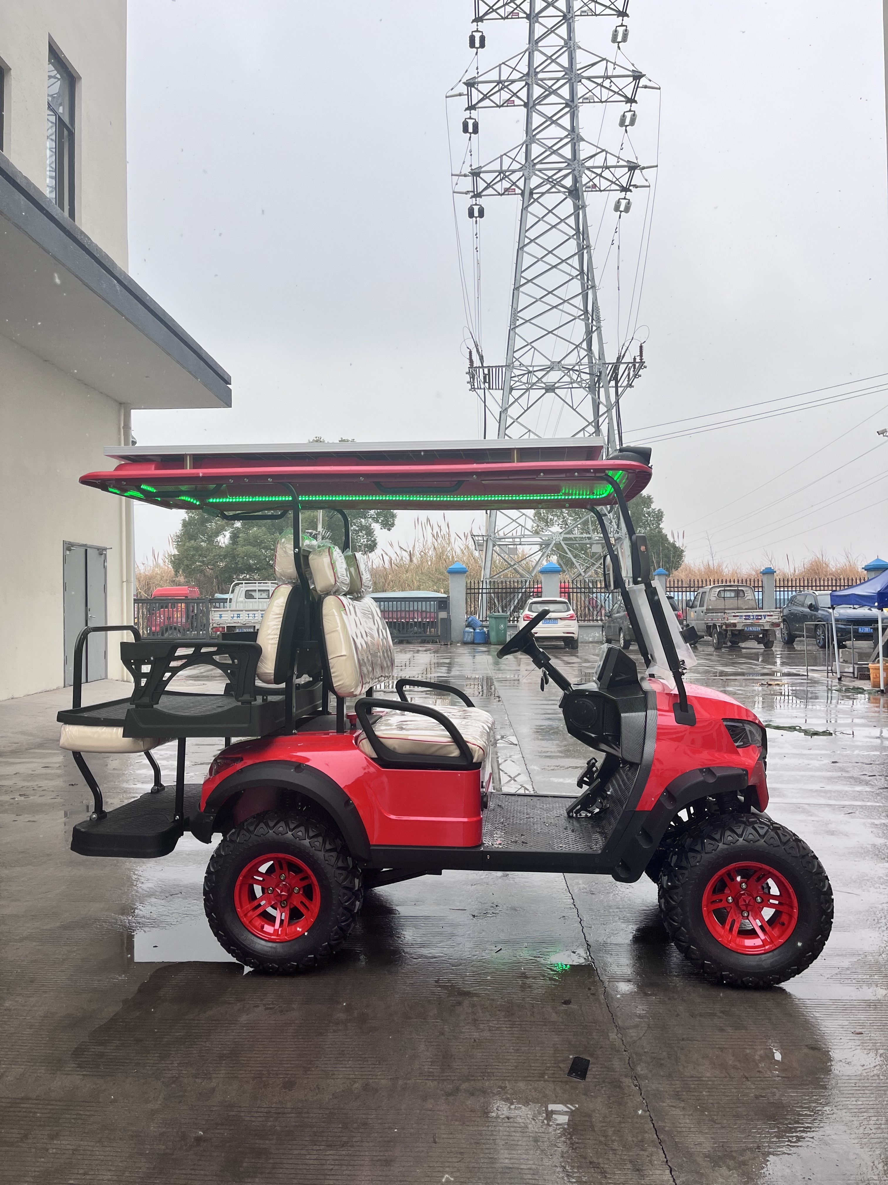 Shining electric garden utility vehicles New Designed golf buggy for sale electric golf car