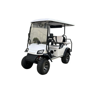 Shining brand electric garden utility vehicles New Designed lifted golf buggy golf carts for sale